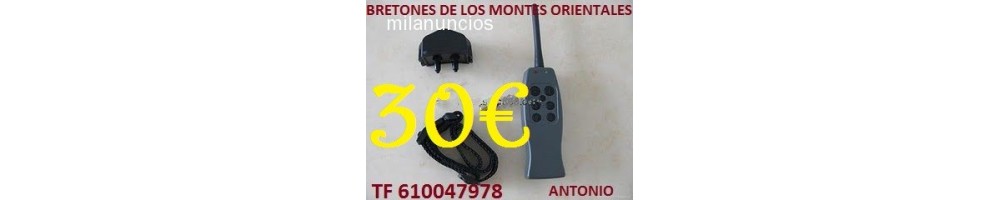 Collares de adiestramiento económicos para perros