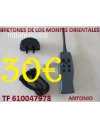 Collares de adiestramiento económicos para perros